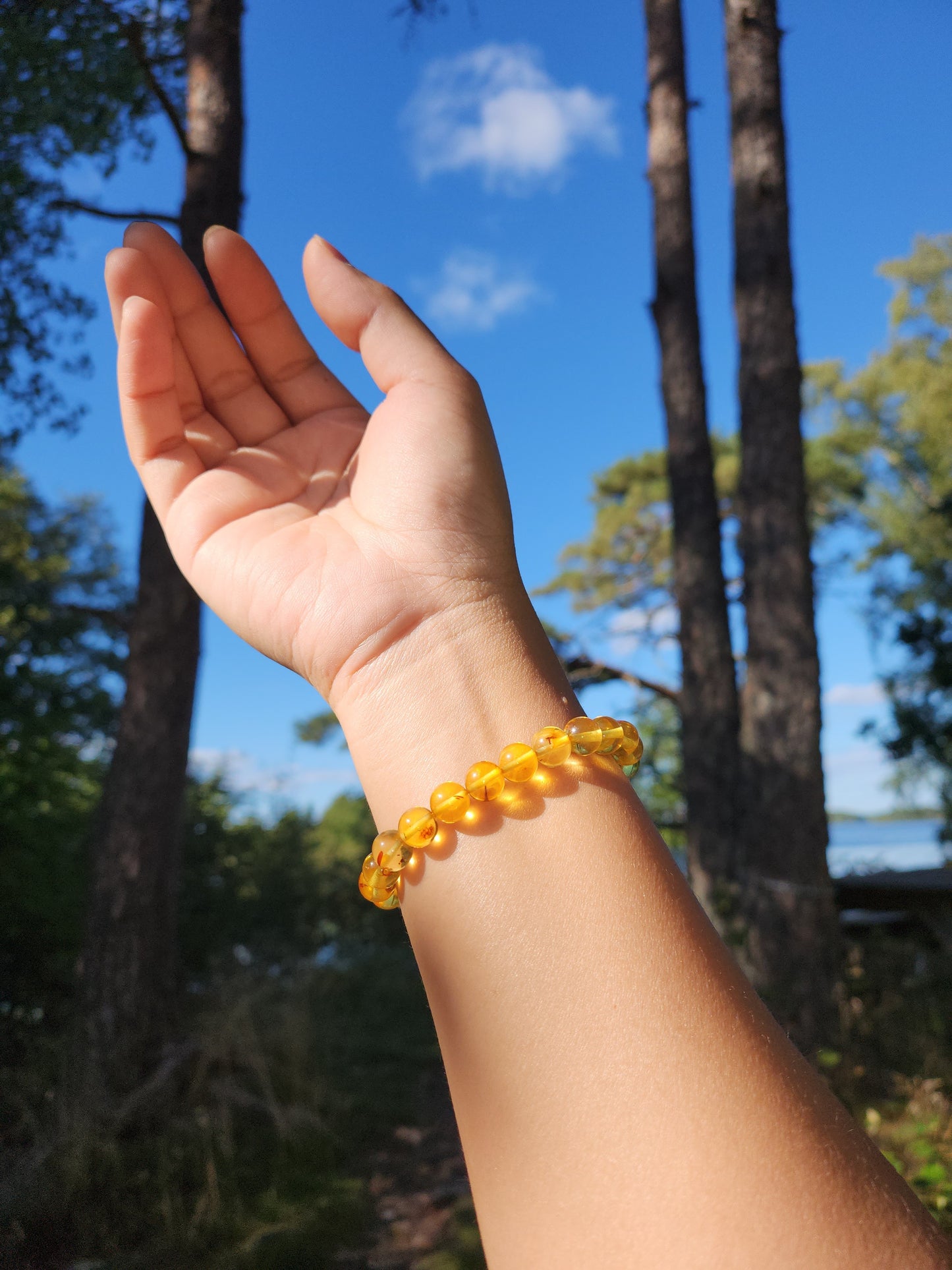 Amber Bracelet